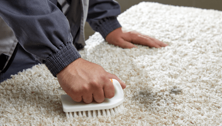 Professional Rug Cleaning Bulla